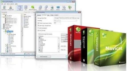 Navicat for SQL Server Enterprise Edition 10.0.5