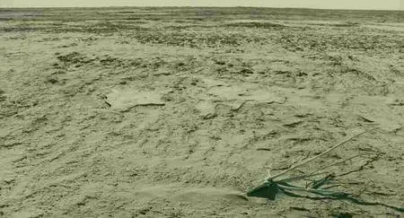 Watermark (2013)