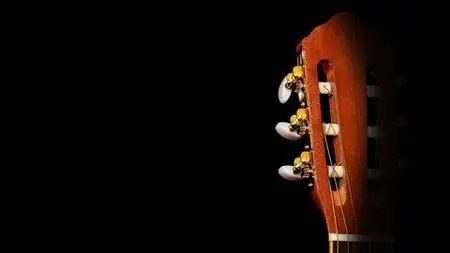 The Guitar Code
