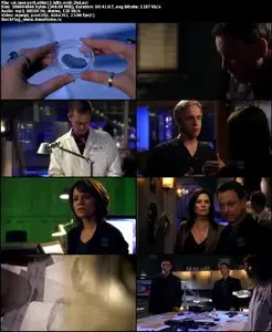 CSI: NY S08E13 "The Ripple Effect"