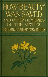 «How Beauty Was Saved and Other Memories of the Sixties» by Amanda Alcenia Strickland Washington