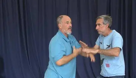 Tai Chi Push Hands by Bruce Kumar Frantzis