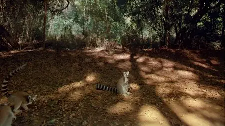 IMAX - The Greatest Places (1998)