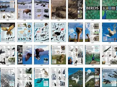 Animals: A Visual Encyclopedia, 2nd Edition