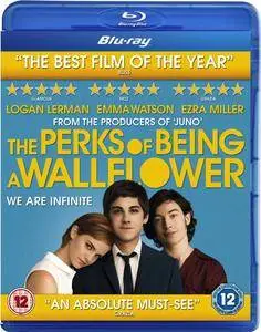 The Perks of Being a Wallflower (2012) [w/Commentaries]