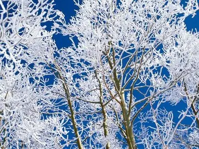 Wallpaper pack: Winter fantasy