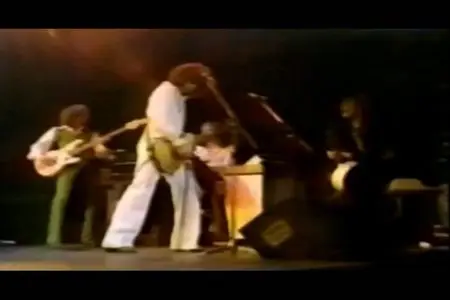 Electric Light Orchestra: In Performance The Seventies (2010)