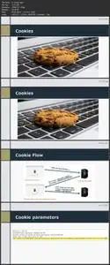 Bug Bounty - Web Application Penetration Testing Masterclass