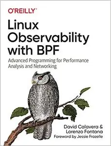 Linux Observability with BPF: Advanced Programming for Performance Analysis and Networking