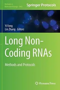 Long Non-Coding RNAs: Methods and Protocols 