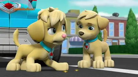 PAW Patrol S06E15