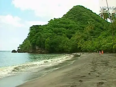 (Voyage) Antilles françaises, rythme alizé (2012)