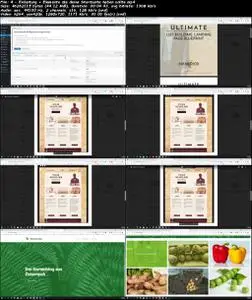 Bloggen mit WordPress: Leser gewinnen und Geld verdienen