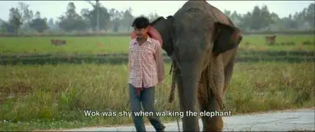 When Elephants Were Young (2016)