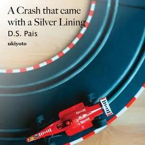 «A Crash that came with a Silver Lining» by D.S. Pais