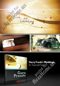 Harry Frank's Weddings for Trapcode Suite - Project for After Effects