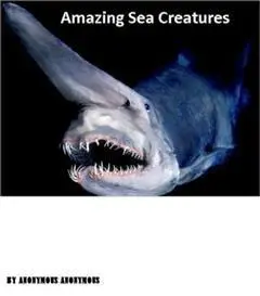 «Amazing Sea Creatures Photography» by Amazing Photography eBooks