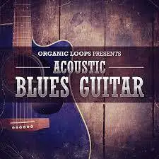 Organic Loops Acoustic Blues Guitar MULTiFORMAT