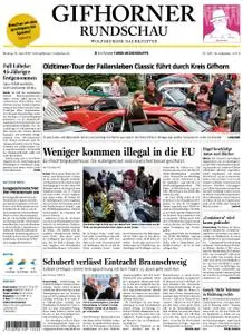 Gifhorner Rundschau - Wolfsburger Nachrichten - 17. Juni 2019