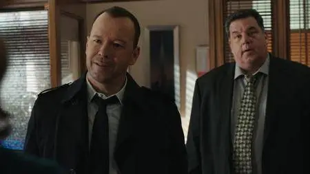 Blue Bloods S08E21