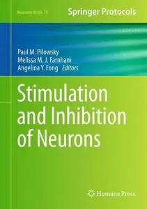 Stimulation and Inhibition of Neurons (Repost)