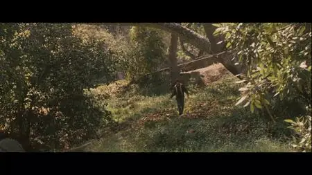 Halloween (2007)