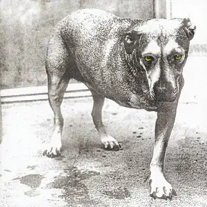 Alice in Chains - Alice in Chains (1995)