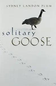 Solitary Goose