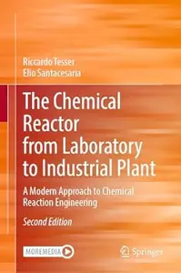The Chemical Reactor from Laboratory to Industrial Plant (2nd Edition)