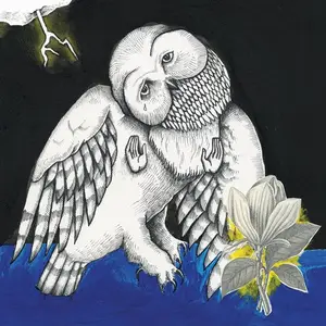 Songs: Ohia - The Magnolia Electric Co. [2СВ 10th Anniversary Deluxe Edition] (2013)