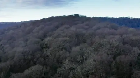 Wild Isles S01E02
