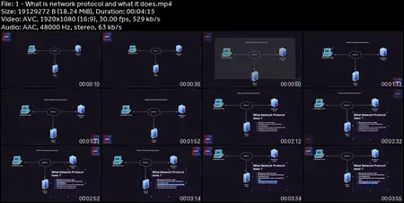 Real NMAP: Network Scanning, Recon & Exploit Discovery|CNMP+