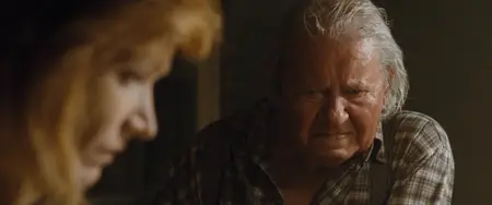 The Noonday Witch (2016)