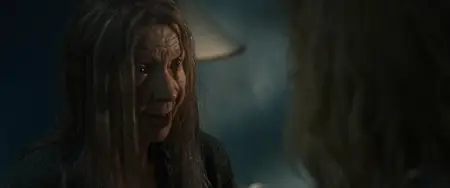 The Noonday Witch (2016)