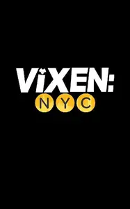 DC Comics-Vixen NYC DC Go Edition No 05 2025 HYBRID COMIC
