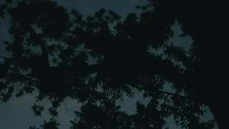 The Fall of Diddy S01E02