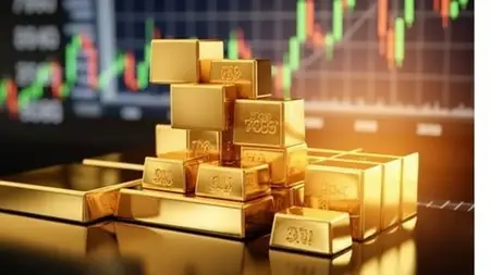 Forex Price Action: What No One Tells You