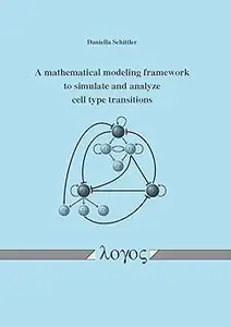 A mathematical modeling framework to simulate and analyze cell type transitions