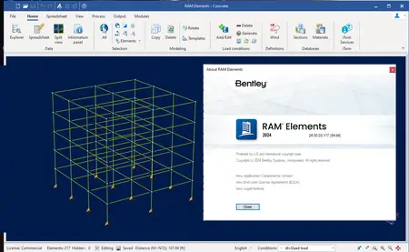 RAM Elements 2024 (24.00.03.117)