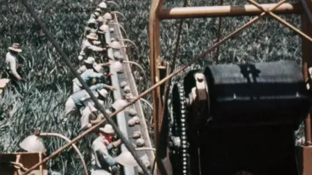 PBS American Experience - Clearing the Air: The War on Smog (2025)