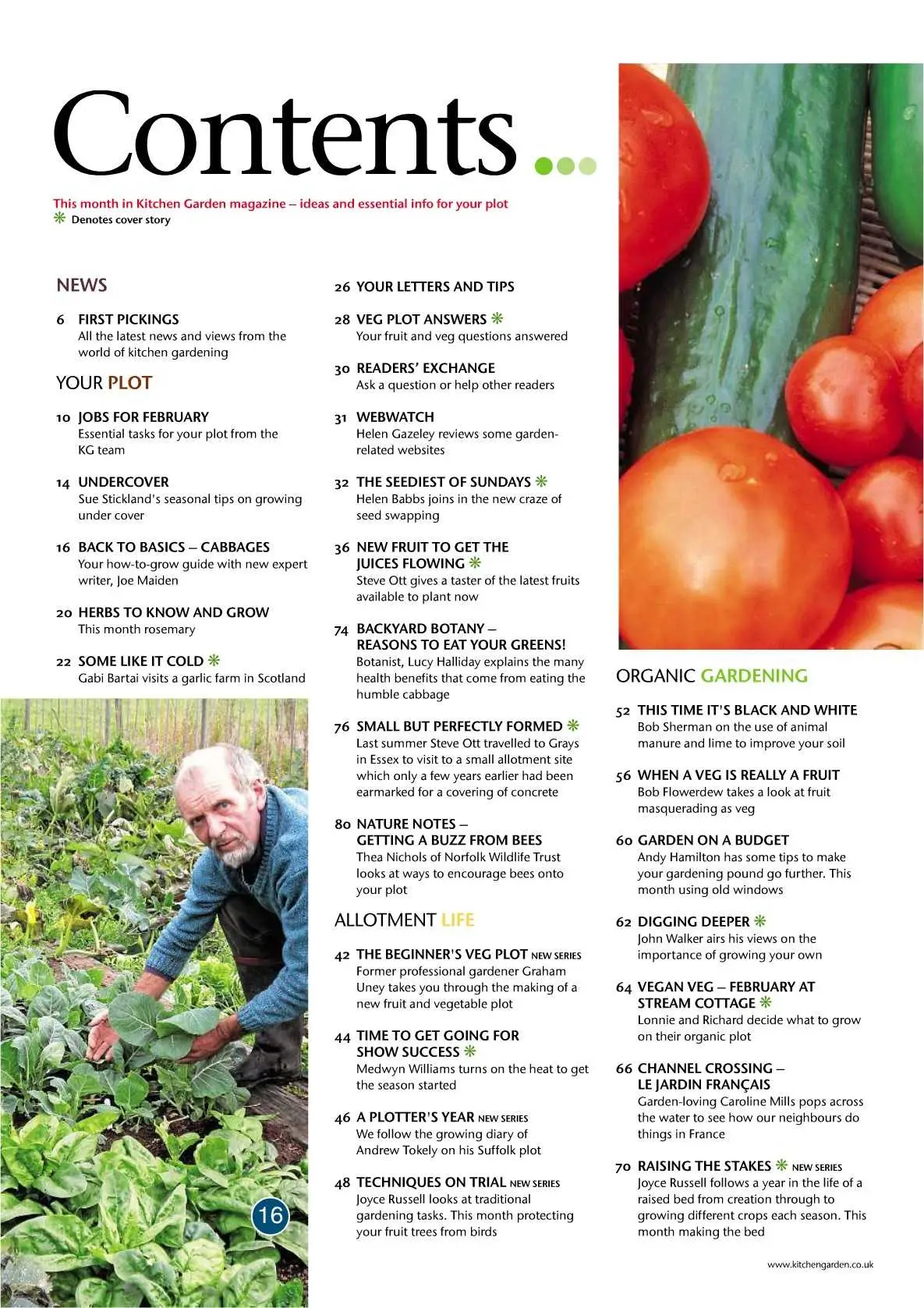 Kitchen Garden - February 2010