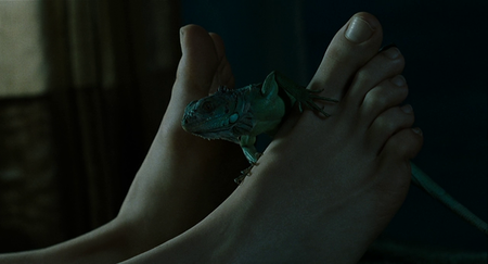 XXY (2007)