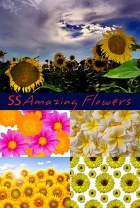 Amazing Flowers