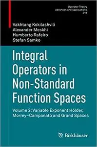 Integral Operators in Non-Standard Function Spaces: Volume 2 (Repost)