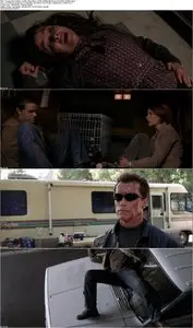 Terminator 3: Rise of the Machines (2003)