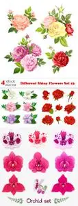 Vectors - Different Shiny Flowers Set 23