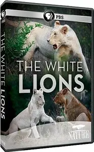PBS Nature - The White Lions (2012)
