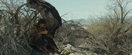 Last Days in the Desert (2015)