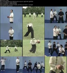 Tai Chi Ball Qigong 1 & 2 (2006)