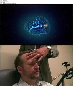 The Brain That Changes Itself (2008)